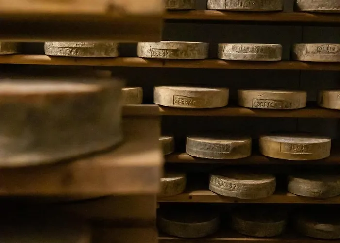 Rini * Μπόρμιο