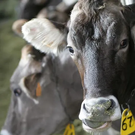 里尼农庄 农家乐