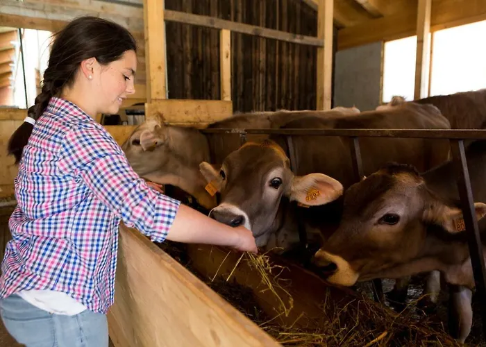 Vakantieboerderij Rini Bormio